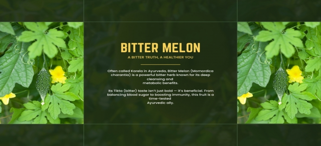 Bitter Melon: A Bitter Truth, A Healthier You 