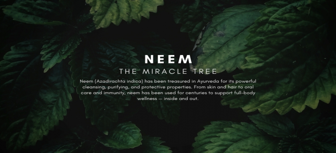 Neem: The Sacred Tree in Ayurveda