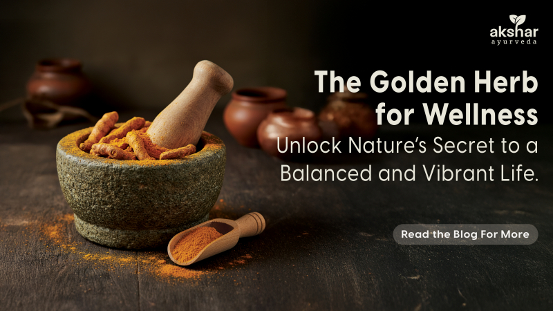 Turmeric: The Golden Herb for Wellness