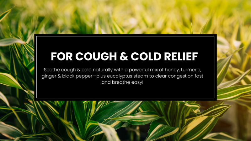 Tips for Winter Wellness 