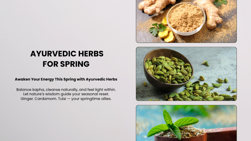 ayurvedic herbs for spring