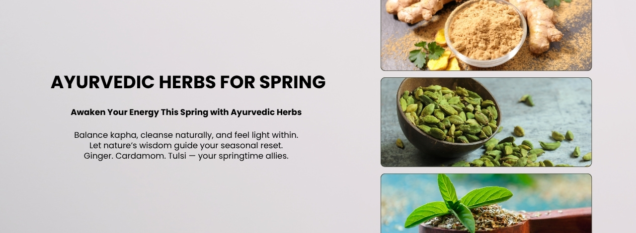 ayurvedic herbs for spring