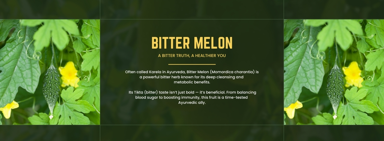 Bitter Melon: A Bitter Truth, A Healthier You 