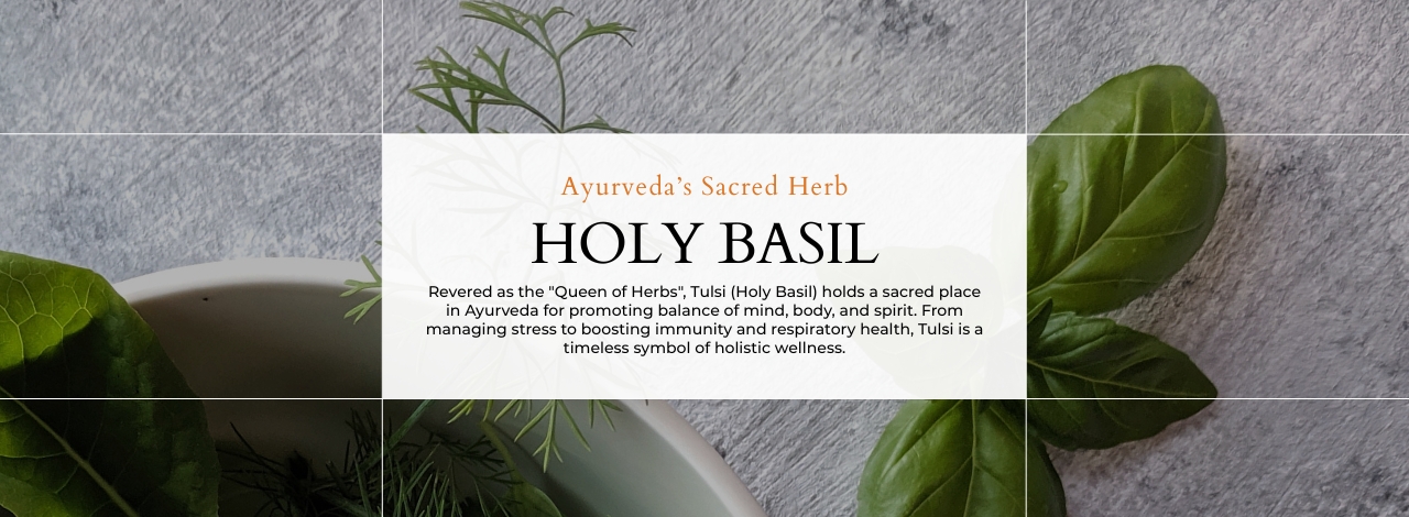 Holy Basil: Nature's The Sacred Herb in Ayurveda 