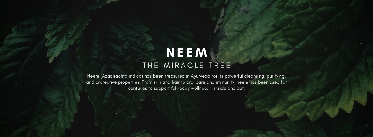 Neem: The Sacred Tree in Ayurveda